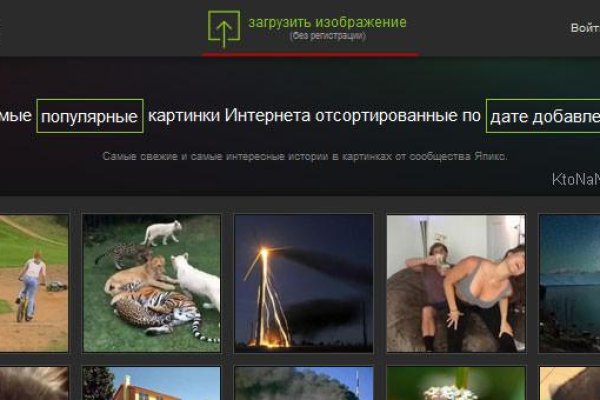 Зеркало тор браузера