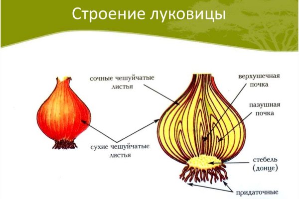 Зеркало на кракен